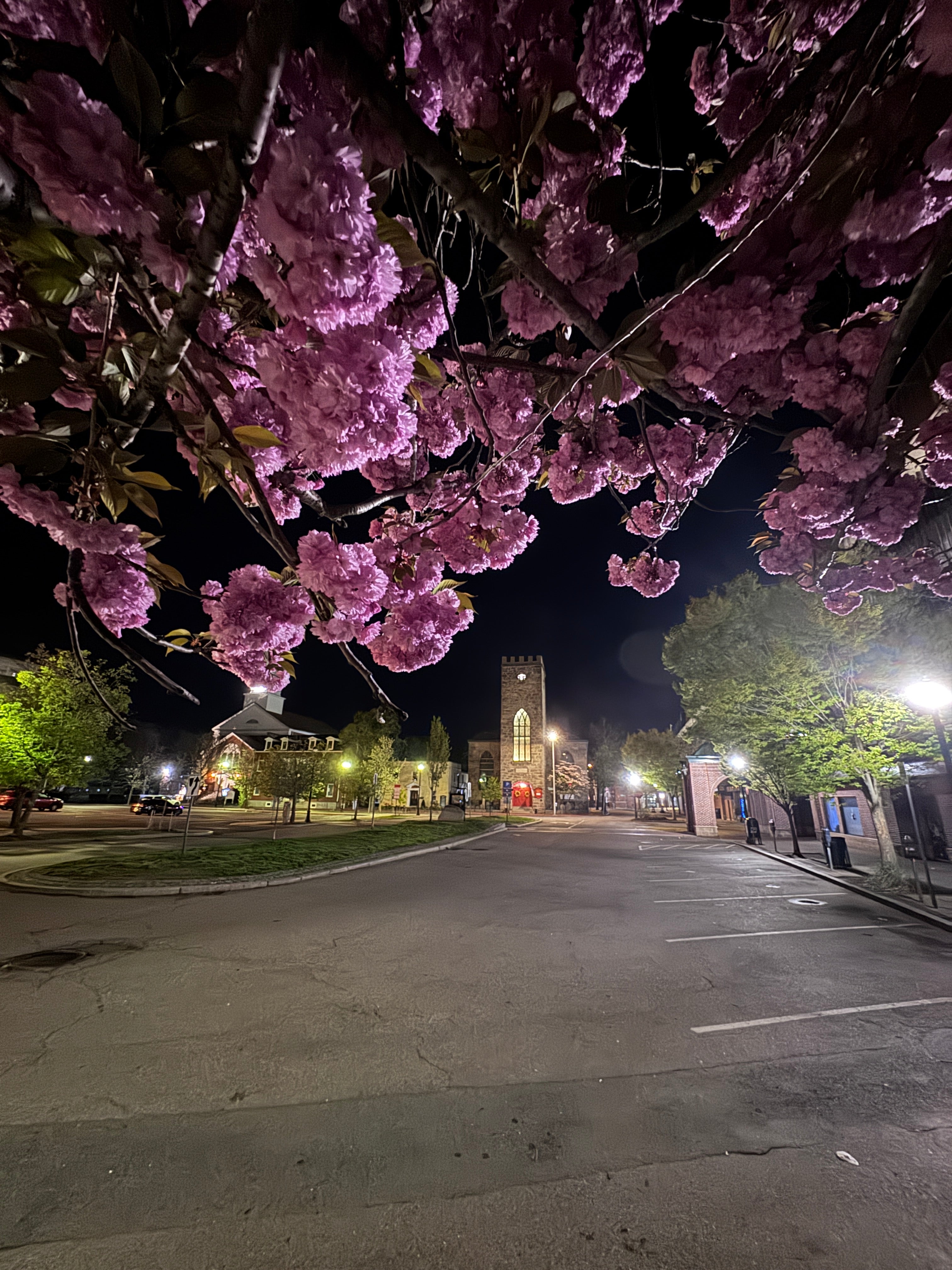Where Should I Park in Salem, MA?