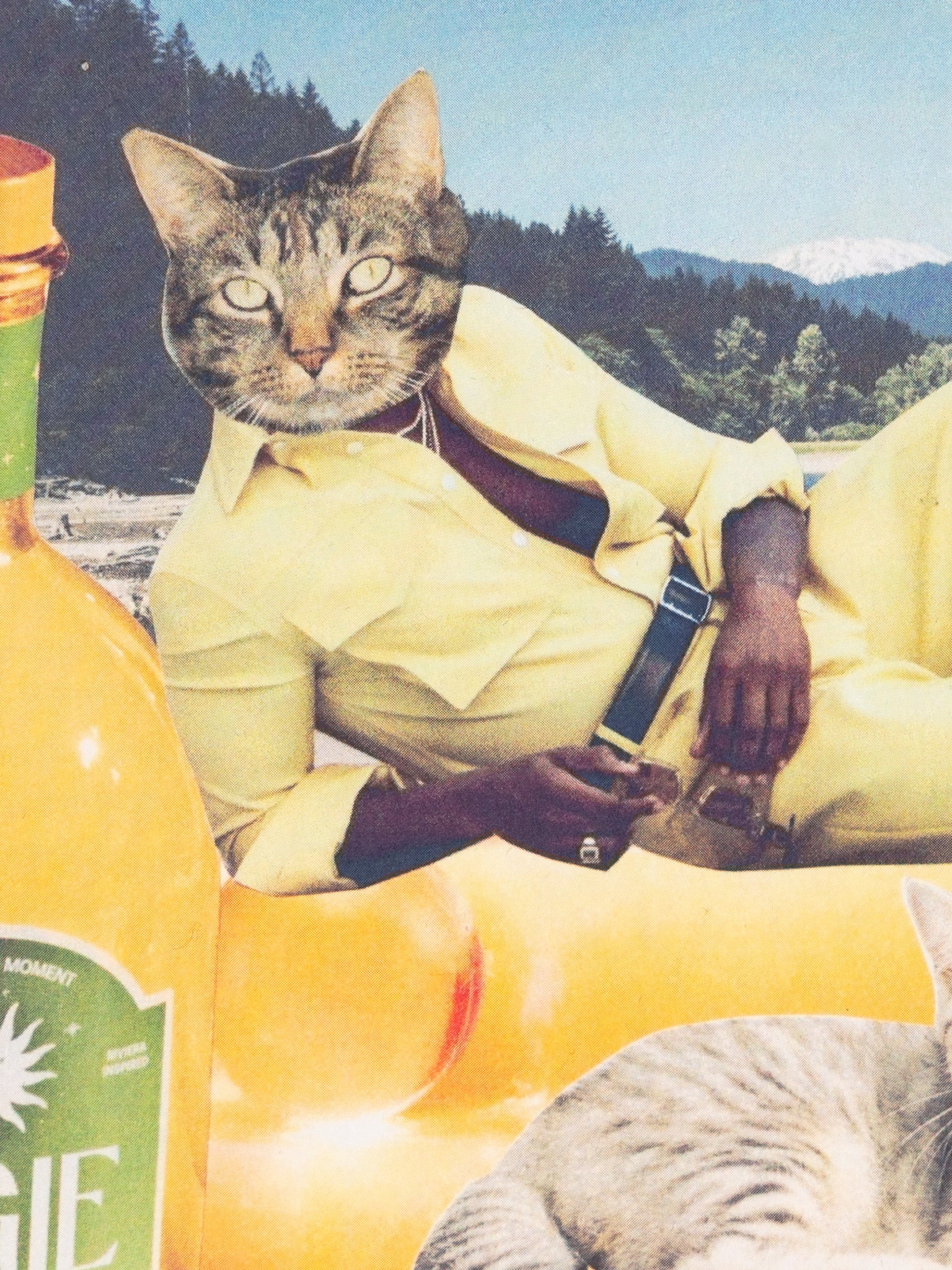 Suave Feline Collage Print 5x7" - Die With Your Boots On