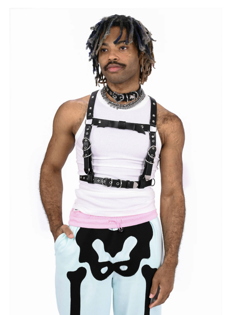 HARNESS