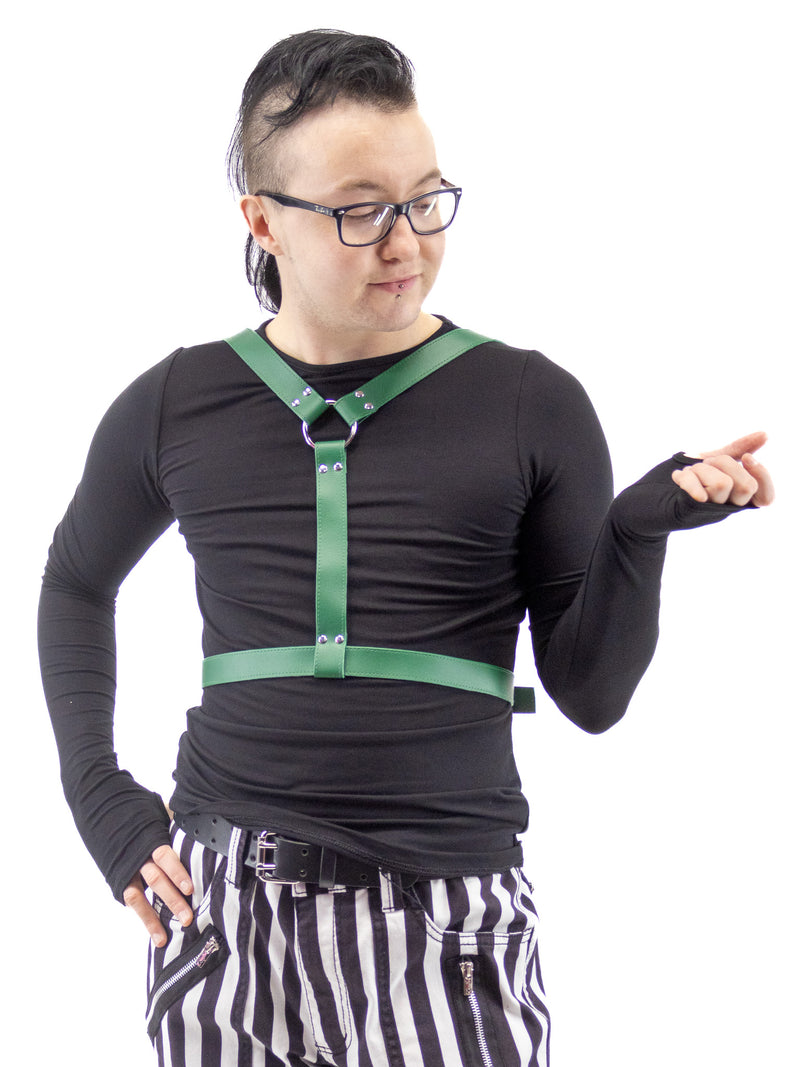 HARNESSES