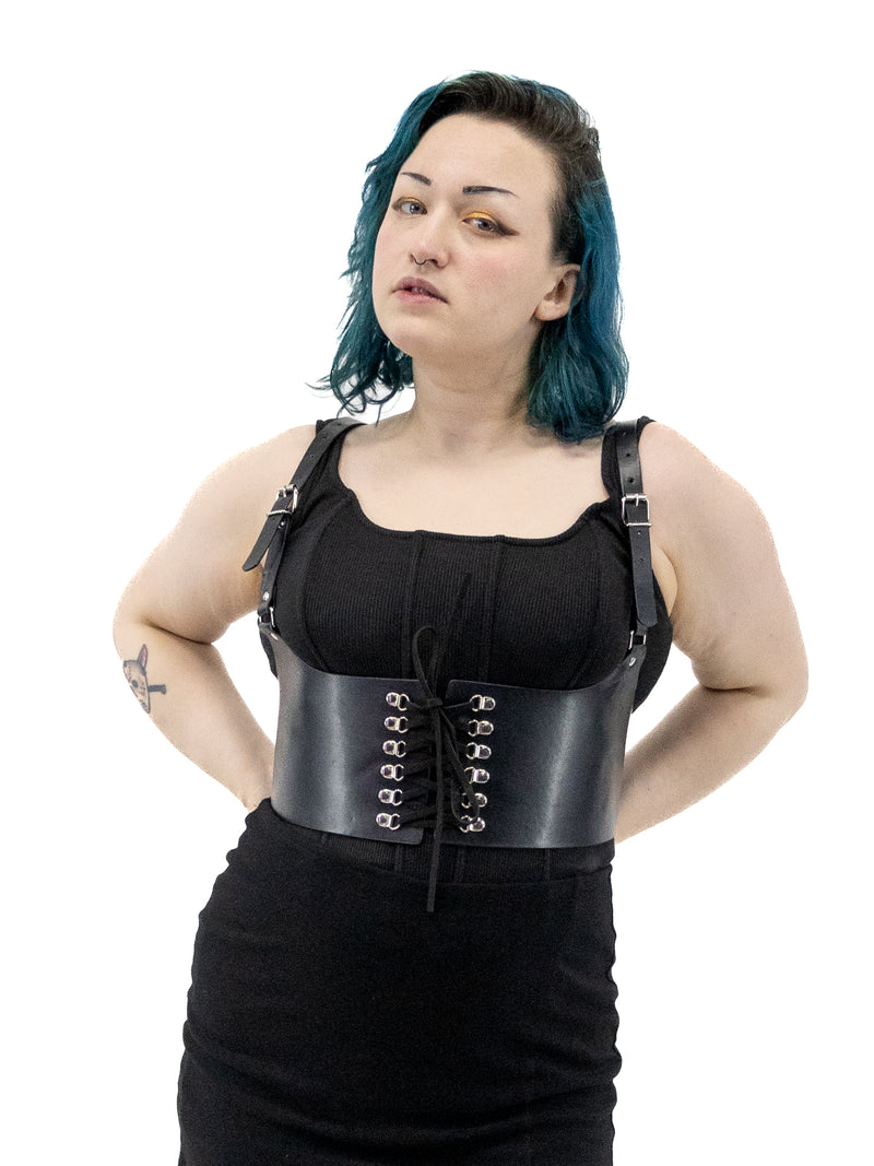 HARNESSES