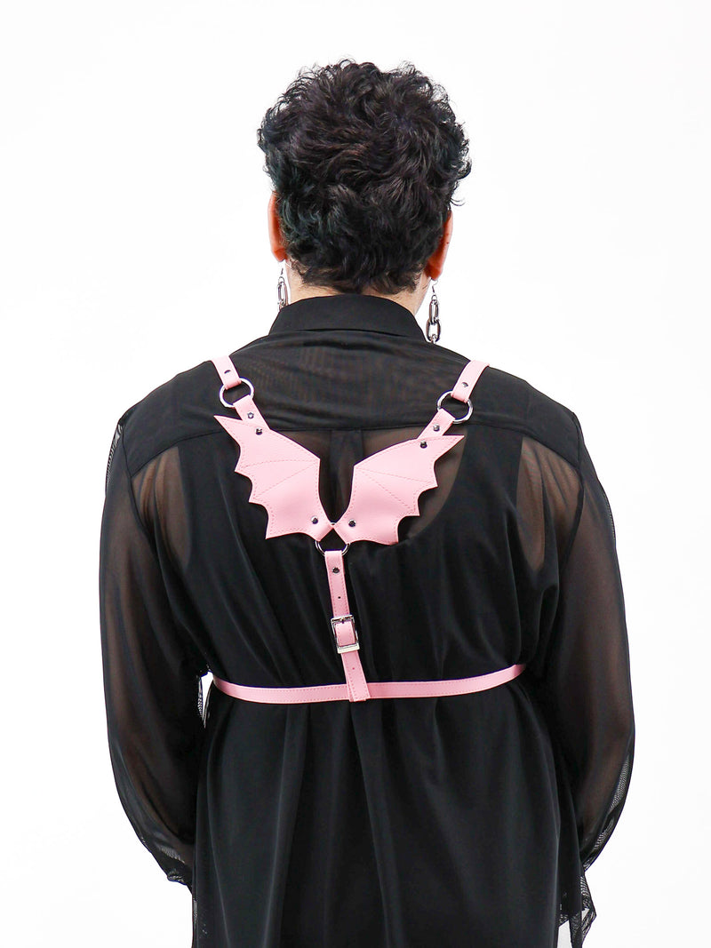 HARNESSES