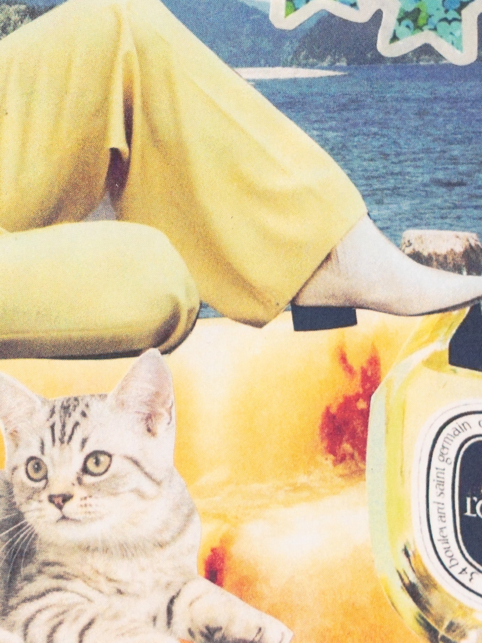 Suave Feline Collage Print 5x7" - Die With Your Boots On