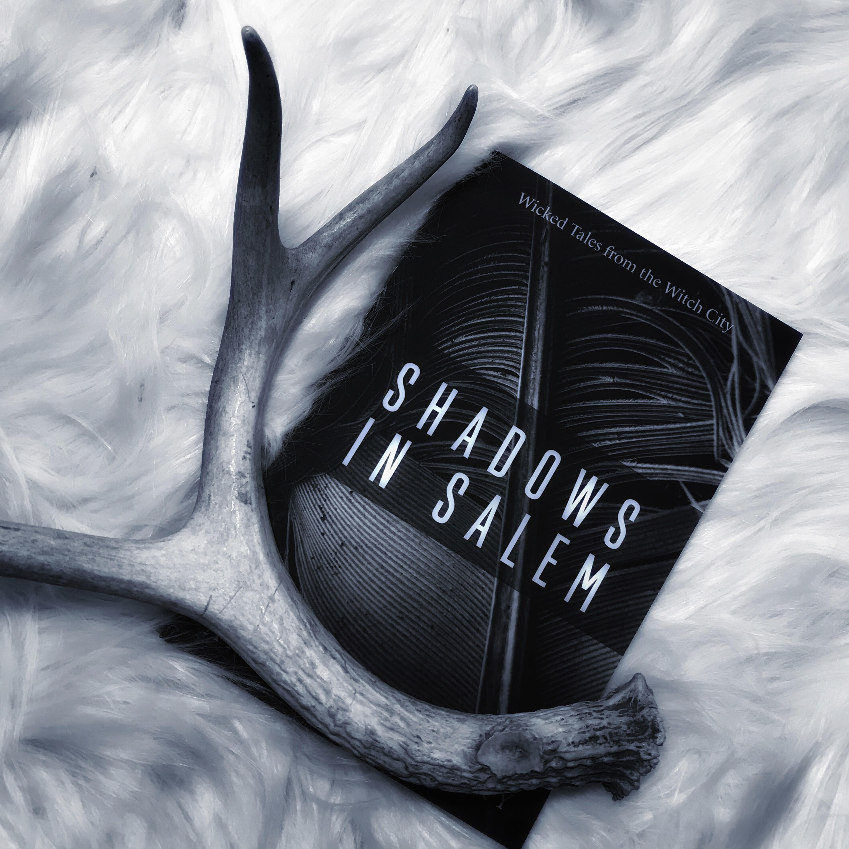 Shadows in Salem - Die With Your Boots On