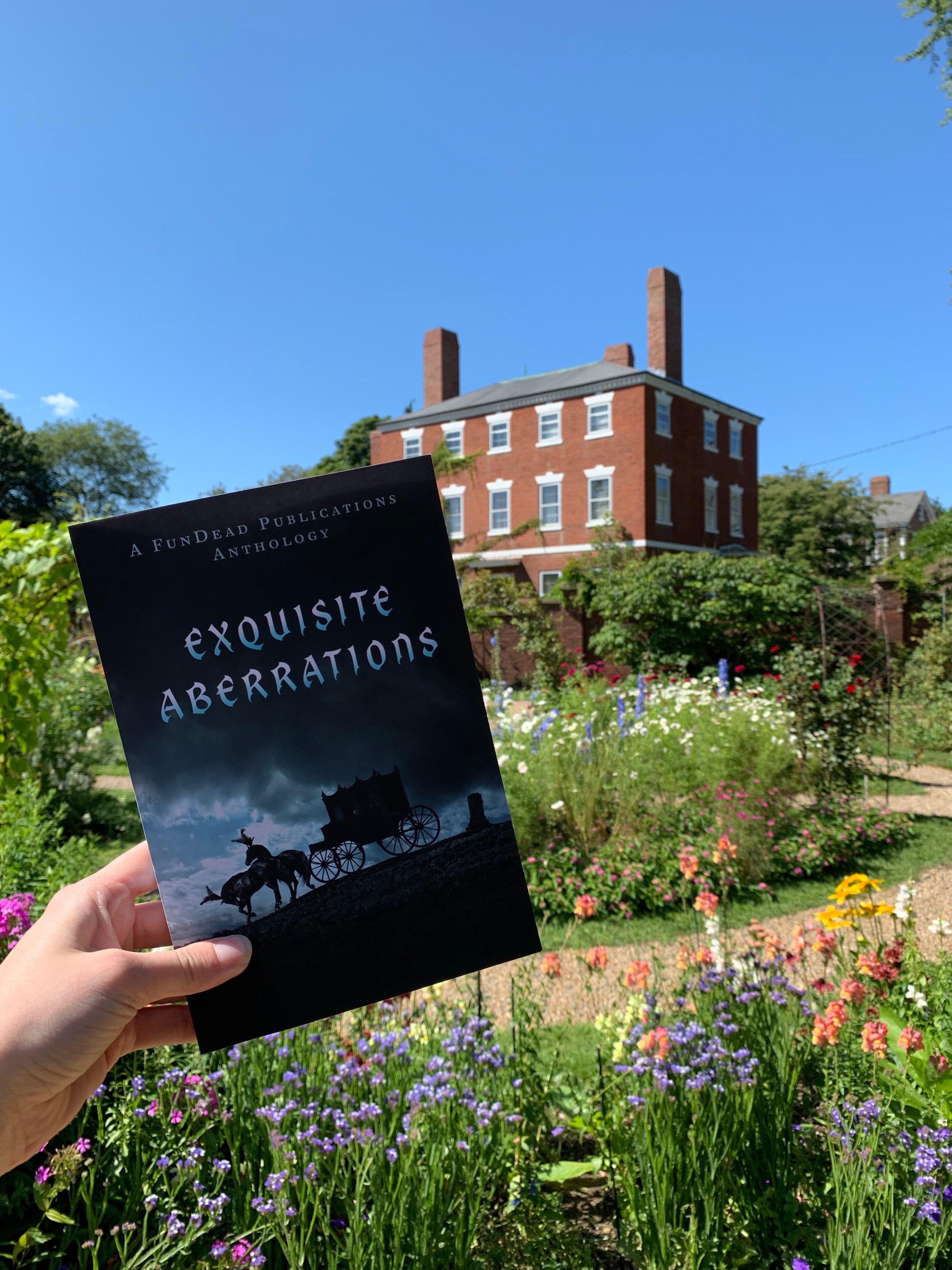 Exquisite Aberrations Limited Edition Hardcover - Die With Your Boots On